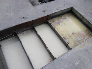 Descripción: C:\Users\toshiba\Desktop\FOTOS TESIS\IMG_20171002_135858.jpg